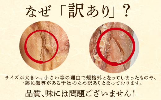 【2026年5月下旬発送】訳あり 干物・切身 セット 3kg お試し 規格外 傷 不揃い 詰め合わせ おまかせ 干物 魚 ホッケ カレイ イワシ