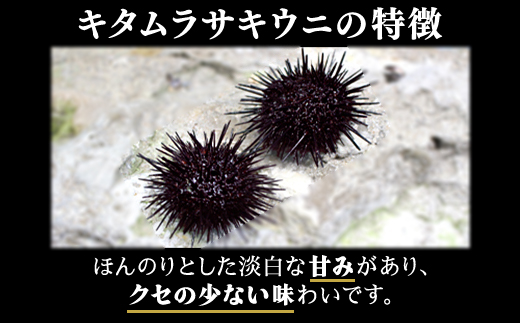 北海道のウニだけで作った甘塩うに 60g (60g×1) キタムラサキウニ
