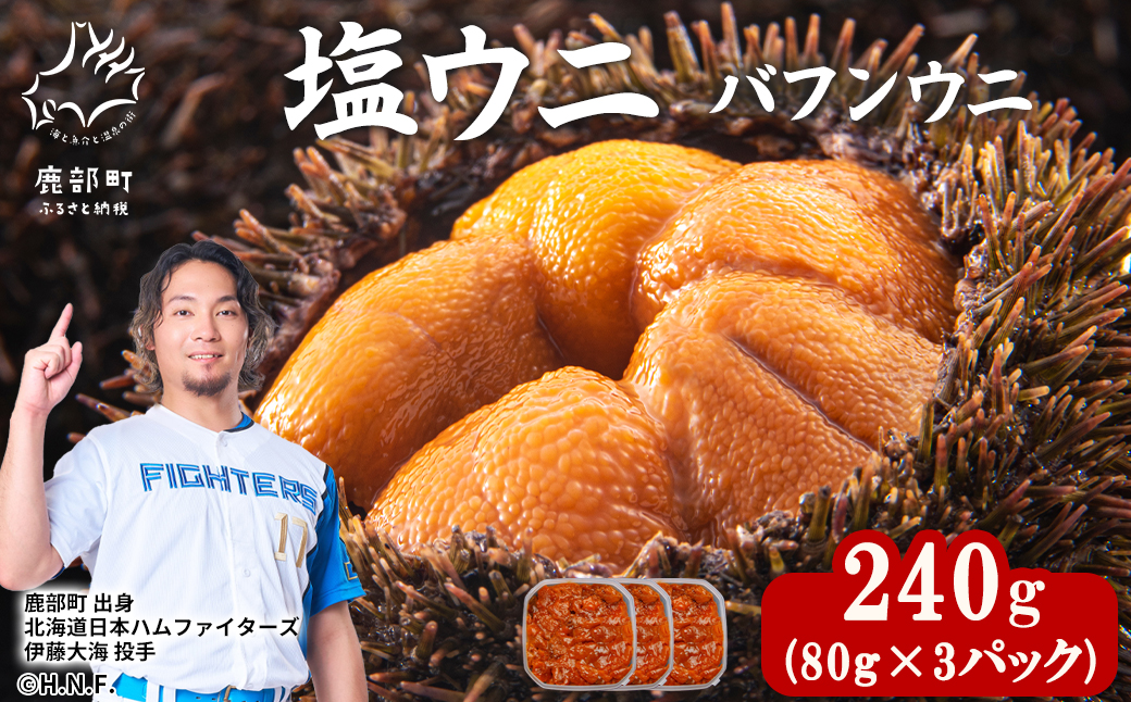塩うに 240g (80g×3P) バフンウニ ミョウバン不使用 塩蔵うに ギフトセット