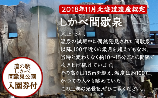 【お土産付き】駒ヶ岳山麓リゾート森あるき体験 2名様分 根昆布だし お土産付き 道の駅しかべ間歇泉公園 入園券付 旅行 観光 体験 送料無料
