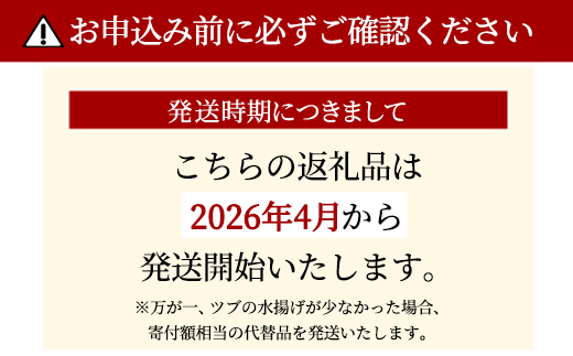 【先行予約】北海道鹿部町産 前浜ボイルつぶ１kg（500g×2袋） 刺身 不揃い つぶ ツブ ツブ貝 つぶ貝