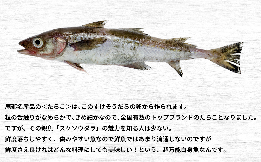 楜ãã¿æ¹ã¯10éãïŒã¡ãã¥ãŒã«å°ããªãäžèœçœèº«é åæµ·éç£ ããããã ã 5kg å·å å
èåŠçæžã¿ é®®é