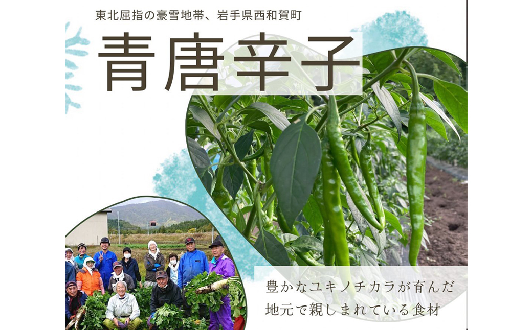 北海道産 青唐辛子明太子 1パック たらこ 明太子 辛子明太子 ご飯のお供