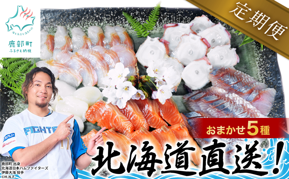 【定期便】 北海道産 旬のお刺身＜5種＞盛り合わせセット 約500g 年4回お届けコース 盛り合わせ 刺身 定期便 お刺身 生食 魚