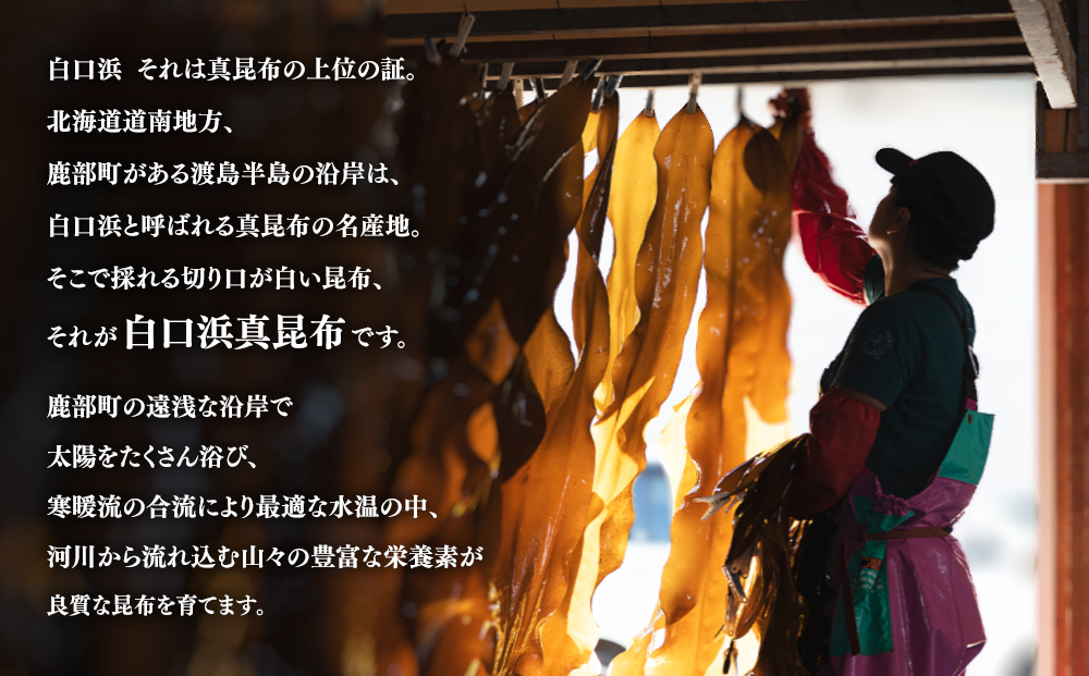 【北海道鹿部町産】 白口浜真昆布 ４点セット 根昆布だし とろろ昆布 昆布醤油 春摘昆布