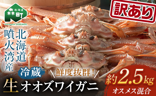 【訳あり】 生オオズワイガニ　約2.5kg （オスメス混合）＜海鮮問屋　株式会社　瑞宝＞ ズワイガニ かに カニ 蟹 ガニ がに 海鮮 森町 北海道 mr1-0603