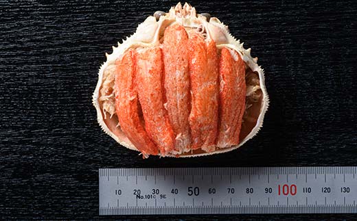 北海道産 オオズワイガニ甲羅盛（約80-90g）×3個※かにみそ無し＜道産ネットミツハシ＞ かに カニ ズワイ蟹 北海道 森町 ふるさと納税 mr1-0445