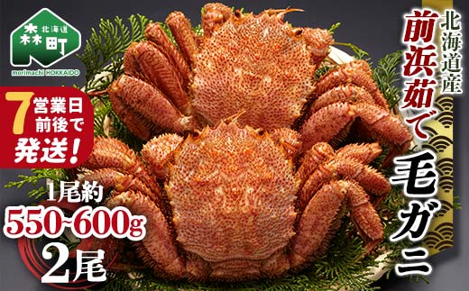 【順次発送】 前浜茹で毛がに 約550～600g×2尾 ＜株式会社 鳥潟＞ かに カニ 蟹 ガニ がに 毛蟹 毛かに 毛ガニ 毛カニ 北海道産 北海道 森町 mr1-0720-1