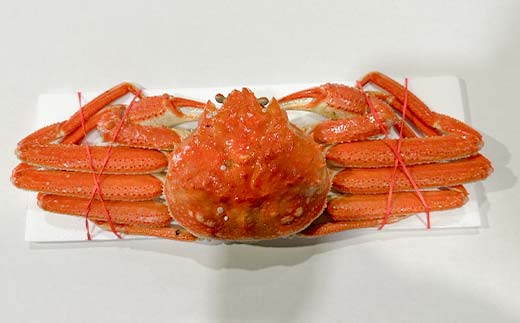 【訳あり】三特 オオズワイガニ 3kg（6～10杯） 北海道噴火湾産 化粧箱入 かに カニ 蟹 がに 森町 ふるさと納税 北海道 ずわいがに ずわいかに ズワイ ずわい mr1-0742