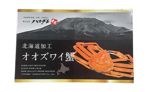 【訳あり】三特 オオズワイガニ 3kg（6～10杯） 北海道噴火湾産 化粧箱入 かに カニ 蟹 がに 森町 ふるさと納税 北海道 ずわいがに ずわいかに ズワイ ずわい mr1-0742