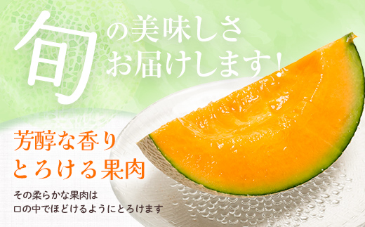 ãå
è¡äºçŽãåæµ·é森çºç£èµ€èã¡ãã³å€§ç 1çïŒçŽ1.6ïœ2kgïŒïŒ2026幎6æäžæ¬ïœ8æäžæ¬é ã«é 次ãå±ãïŒïŒéç£ããããããã·ïŒ æ£®çº ã¡ãã³ æç© èµ€è åæµ·éç£ mr1-0815