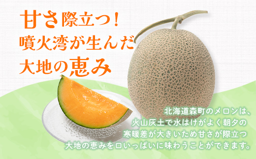 【先行予約】北海道森町産赤肉メロン2～3玉入り（1箱4kg前後）（2026年6月上旬～8月上旬頃に順次お届け）＜道産ネットミツハシ＞  森町 メロン 果物 赤肉 北海道産 mr1-0906