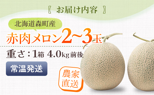 【先行予約】北海道森町産赤肉メロン2～3玉入り（1箱4kg前後）（2026年6月上旬～8月上旬頃に順次お届け）＜道産ネットミツハシ＞  森町 メロン 果物 赤肉 北海道産 mr1-0906