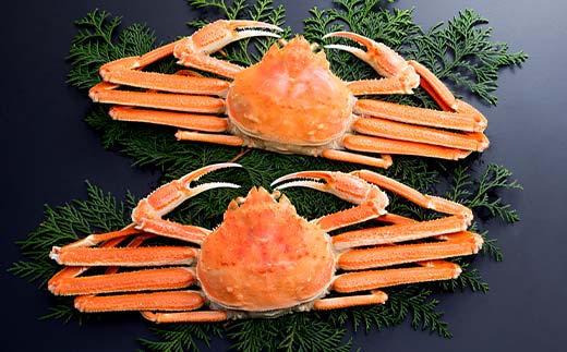 ããããã«ïŒ550gïœ650gïŒ 2å°Ÿå
¥ã åæµ·éæ£®çºæ°Žæã ãã« ã«ã è¹ ã¬ã ãã« æ£®çº ãµãããšçŽçš åæµ·é ããããã« ãºã¯ã€ã¬ã mr1-0921