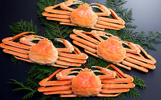 ããããã«ïŒ550gïœ650gïŒ 4å°Ÿå
¥ã åæµ·éæ£®çºæ°Žæã ãã« ã«ã è¹ ã¬ã ãã« æ£®çº ãµãããšçŽçš åæµ·é ããããã« ãºã¯ã€ã¬ã mr1-0923