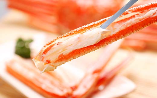 ずわいがに（450g～550g） 3尾入り 北海道森町水揚げ かに カニ 蟹 ガニ がに 森町 ふるさと納税 北海道 ずわいかに ズワイガニ mr1-0925