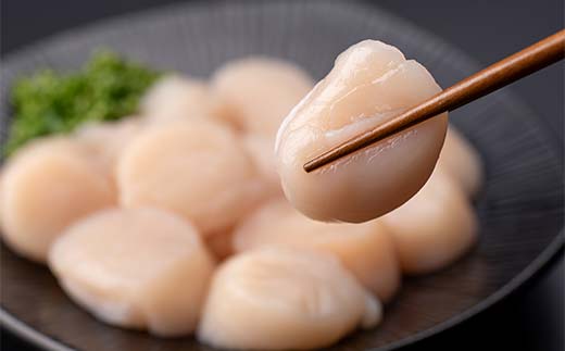 å·åãã¿ãè²æ± 500g æµ·é®® æ£®çº éè²é¡ åžç« ãã¿ã ã»ã㊠éä»é¡ è² ãµãããšçŽçš åæµ·é mr1-1042