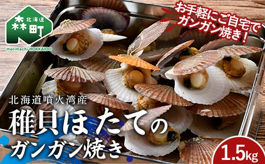 冷凍 稚貝ほたてのガンガン焼き 1.5kg 北海道噴火湾産 海産物 加工品 ほたて 帆立 ホタテ 魚介類 海鮮 森町 ふるさと納税 mr1-0981