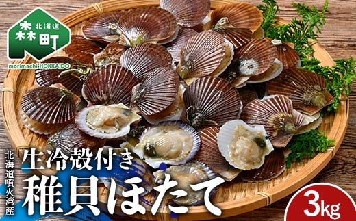 冷凍殻付き稚貝ほたて 3kg 北海道噴火湾産（段ボールまたは発泡入り） 海産物 加工品 ほたて 帆立 ホタテ 魚介類 海鮮 森町 ふるさと納税 mr1-0984