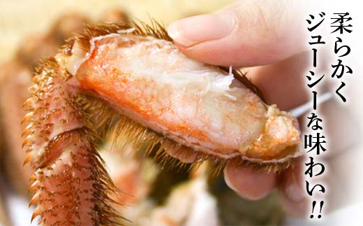 縲仙圏豬キ驕鍋肇縲 豬懊f縺ァ豈帙ぎ繝狗エ1kgシ3ス4蟆セ蜈・繧奇シ mr1-1060