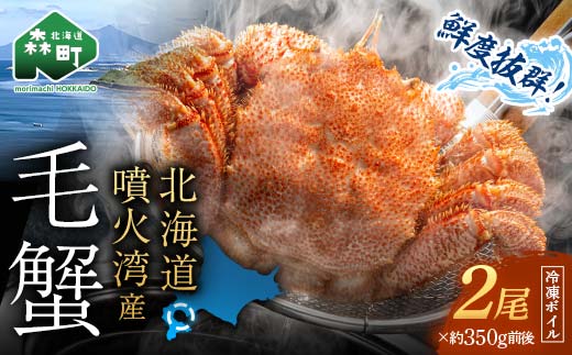 【訳あり】北海道・噴火湾産冷凍ボイル毛ガニ約350g前後×2尾 ＜海鮮問屋　株式会社　瑞宝＞ かに カニ 蟹 ガニ がに 森町 ふるさと納税 北海道 毛蟹 毛かに 毛ガニ 毛カニ mr1-1453