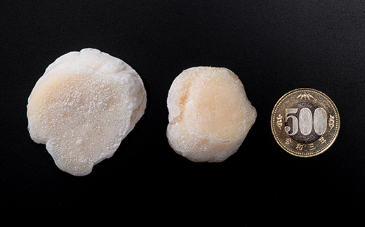 【訳あり】冷凍ホタテ貝柱 500g【旨味凝縮】 ＜ワイエスフーズ＞ 小分け チャック付き 海鮮丼 森町 魚貝類 帆立 ホタテ ほたて 魚介類 貝 ふるさと納税 北海道 mr1-1158