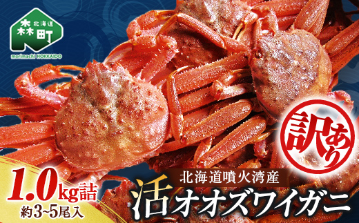 【訳あり】北海道噴火湾産 活オオズワイガニ1kg ＜道産ネットミツハシ＞ かに カニ 蟹 ガニ がに 森町 ふるさと納税 北海道 ずわいがに mr1-1218