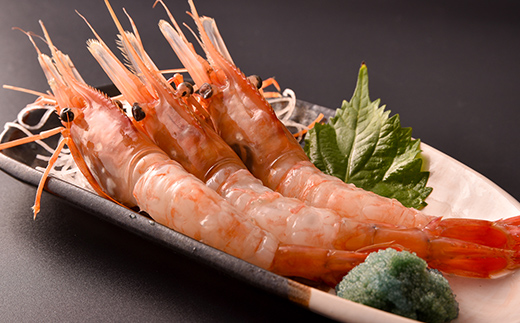 北海道噴火湾産 刺身用 子持ちボタンエビ 500g(9尾~10尾) 北海道産 えび エビ 海老 ぼたんえび ボタンエビ 牡丹エビ 刺身 子持ち 海鮮 冷凍 mr1-1265