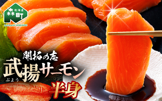 開拓の志 武揚サーモン 「森町」 半身 ＜株式会社 ワイエス海商＞ サケ さけ 鮭 海鮮丼 海産物 森町 ふるさと納税 北海道 mr1-1343
