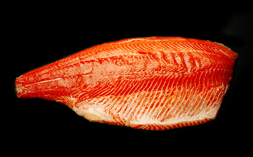 開拓の志 武揚サーモン 「森町」 半身 ＜株式会社 ワイエス海商＞ サケ さけ 鮭 海鮮丼 海産物 森町 ふるさと納税 北海道 mr1-1343