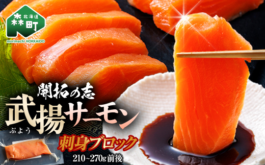 開拓の志 武揚サーモン 「森町」 冷凍刺身用ブロック 210～270g前後 ＜株式会社 ワイエス海商＞ サケ さけ 鮭 海鮮丼 海産物 森町 ふるさと納税 北海道 mr1-1344
