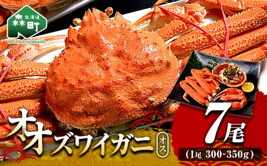 オオズワイガニ オス姿 7尾 300～350g前後×7尾 ＜海鮮問屋　株式会社　瑞宝＞ かに カニ 蟹 ガニ がに 海鮮 森町 北海道 mr1-1370