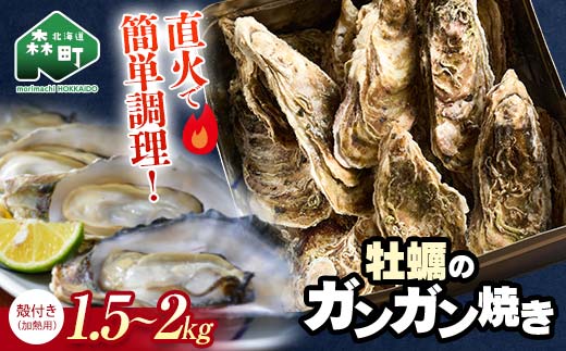 北海道森町 噴火湾産 海の恵みカキのガンガン焼き 殻付きカキ(加熱用) 1.5kg～2kg ＜ワイエスフーズ＞ 森町 かき 牡蠣 海産物 魚貝類 ふるさと納税 北海道  mr1-1374