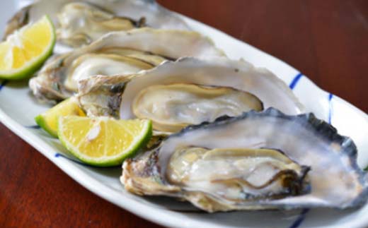 北海道森町 噴火湾産 海の恵みカキのガンガン焼き 殻付きカキ(加熱用) 1.5kg～2kg ＜ワイエスフーズ＞ 森町 かき 牡蠣 海産物 魚貝類 ふるさと納税 北海道  mr1-1374