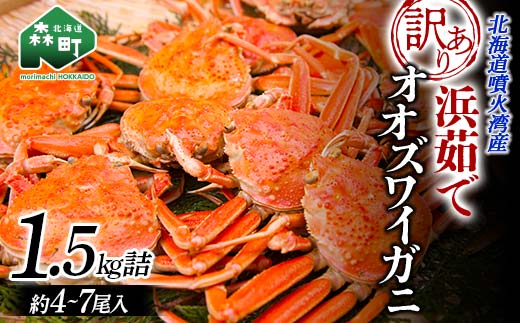 【訳あり】浜茹でオオズワイガニ 1.5kg 詰め込みセット 北海道噴火湾産 ＜道産ネットミツハシ＞ かに カニ 蟹 がに 北海道 森町 ふるさと納税 mr1-1381