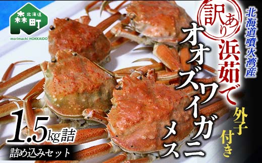 【訳あり】浜茹でオオズワイガニのメス（外子付き）1.5kg 詰め込みセット 北海道噴火湾産 ＜道産ネットミツハシ＞ かに カニ 蟹 がに 北海道 森町 ふるさと納税 mr1-1382