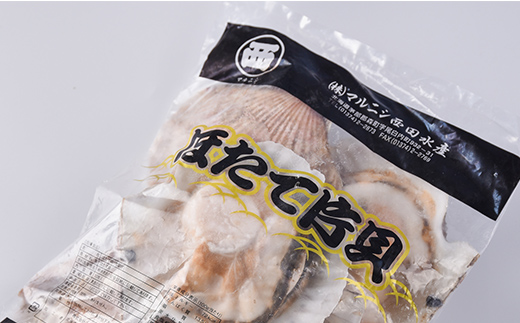 北海道森町産 冷凍ホタテ 片貝5枚（14cm前後） mr1-1385