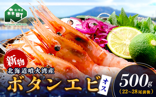 【新物】冷凍ボタンエビ（オス）500g 北海道噴火湾産 ＜海鮮問屋　株式会社　瑞宝＞ えび エビ 海老 ぼたんえび ぼたん海老 ボタン海老 ボタンエビ ぼたんエビ 牡丹海老 北海道 森町 ふるさと納税 北海道 mr1-1406