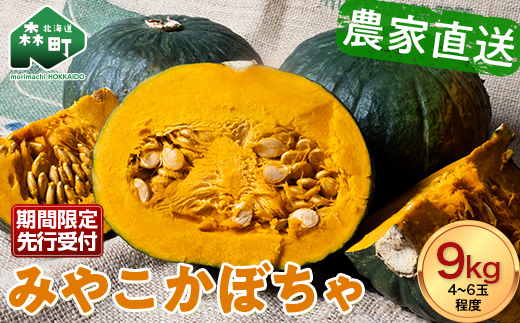 【先行予約】みやこかぼちゃ約9kg 北海道森町産 （令和8年7月下旬～8月上旬順次配送） ＜こうのファーム＞ カボチャ 南瓜 野菜 根菜 煮物 食材 スープ サラダ かぼちゃプリン 天ぷら 北海道 森町 ふるさと納税 mr1-1417