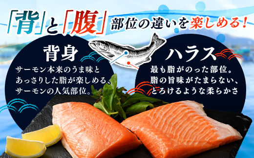 【極上の脂のり】アトランティックサーモン 背身&ハラス食べ比べセット 約1kg (500g×2) ＜道産ネットミツハシ＞ 鮭 サーモン 北海道 森町 ふるさと納税 mr1-1418