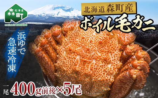 北海道・噴火湾産 冷凍ボイル毛ガニ 約400g前後×5尾  mr1-1448