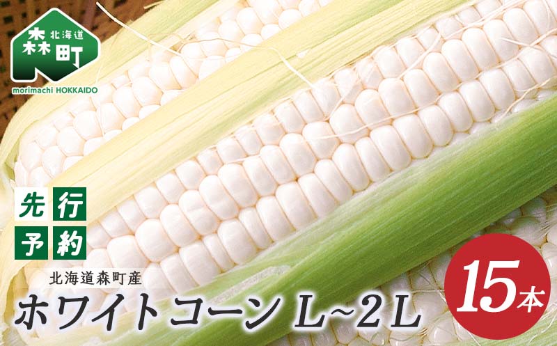 【先行予約】15本 白い とうもろこし ホワイトコーン L～2L（2025年7月下旬～9月中旬までに順次発送）北海道産 森町産 トウモロコシ とうきび 野菜 やさい 甘い 朝もぎ mr1-0144