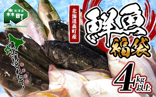 北海道森町産 噴火湾とれたて鮮魚福袋4kg以上 ＜道産ネットミツハシ＞ アブラコ（アイナメ） カレイ類 カジカ ソイ ガヤ ニシン ハタハタ フクラゲ サヨリ 福袋 鮮魚 海鮮 セット 焼き魚 煮付け 鍋 ふるさと納税 北海道 森町 mr1-0149