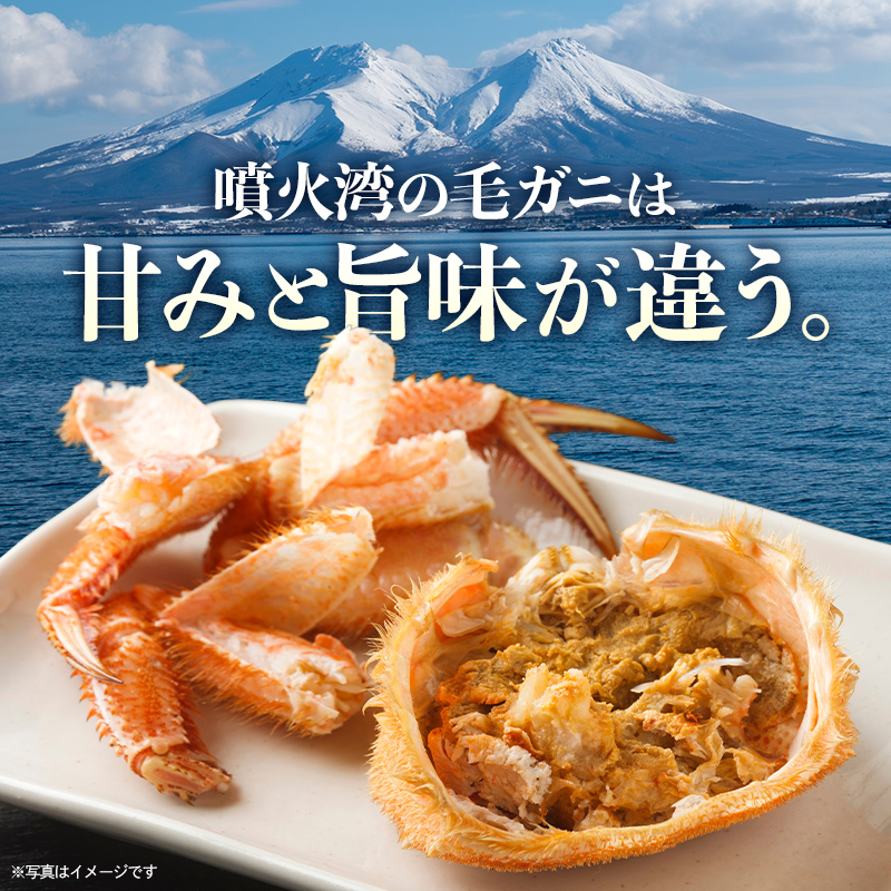 【訳あり】北海道・噴火湾産冷凍ボイル毛ガニ約250g前後～約300g前後×3尾 毛ガニ 毛カニ 蟹 かに かにみそ 海産物 海鮮 森町 mr1-1475