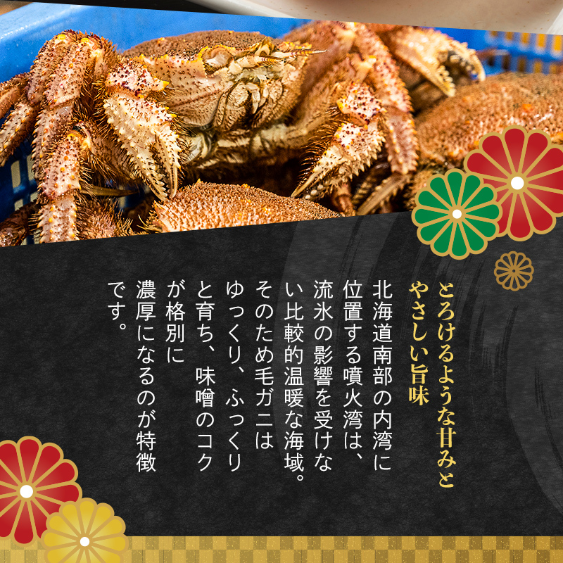 【訳あり】北海道・噴火湾産冷凍ボイル毛ガニ約250g前後～約300g前後×3尾 毛ガニ 毛カニ 蟹 かに かにみそ 海産物 海鮮 森町 mr1-1475