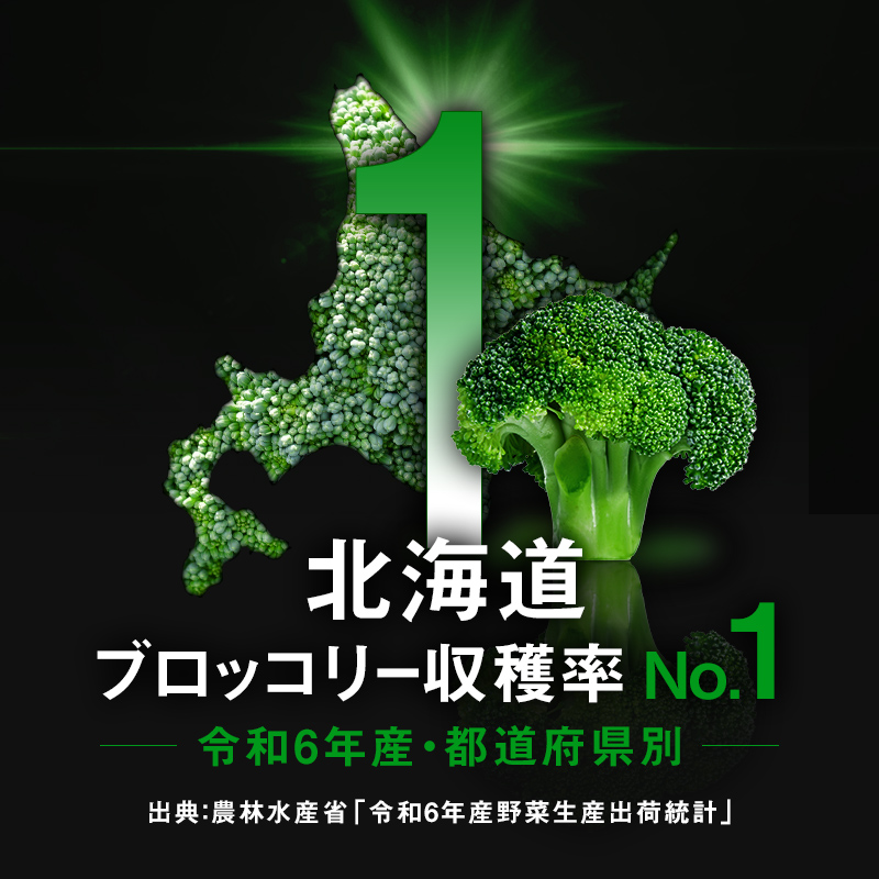 【6ヶ月定期便】小分け カット済み ブロッコリー 冷凍 1.2kg×6回 北海道森町産 野菜 おかず お弁当 便利 小分け カット済み ブロッコリー 冷凍 mr1-1006