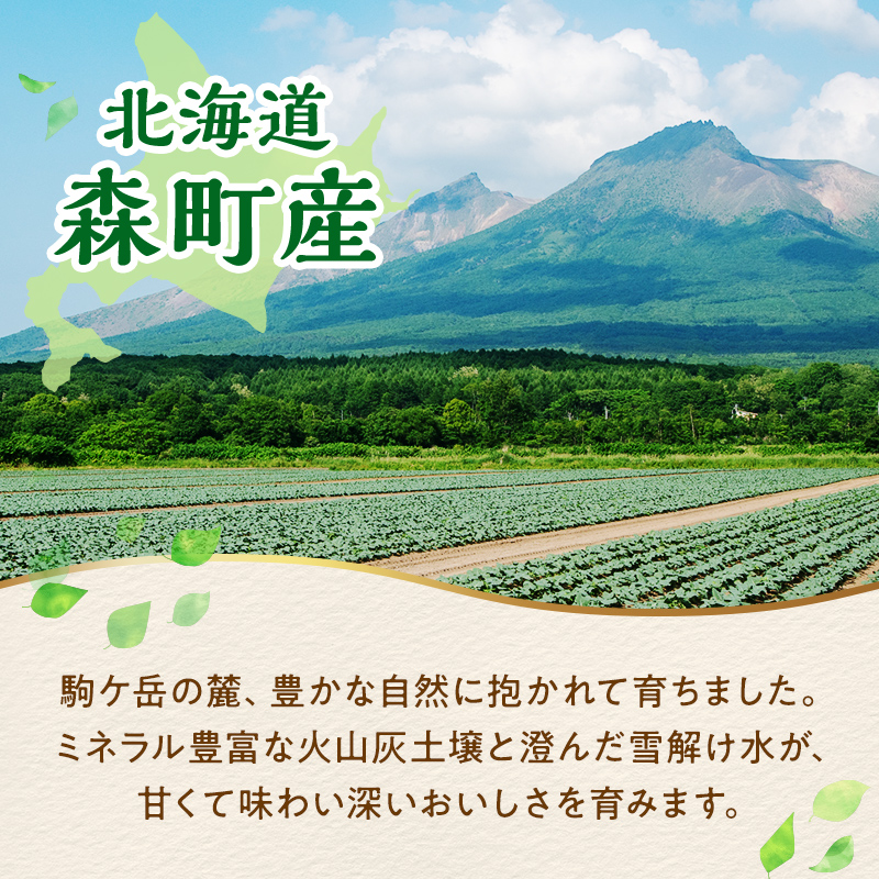【3ヶ月定期便】小分け カット済み ブロッコリー 冷凍 1.2kg×3回 北海道森町産 野菜 おかず お弁当 便利 小分け カット済み ブロッコリー 冷凍 mr1-1005