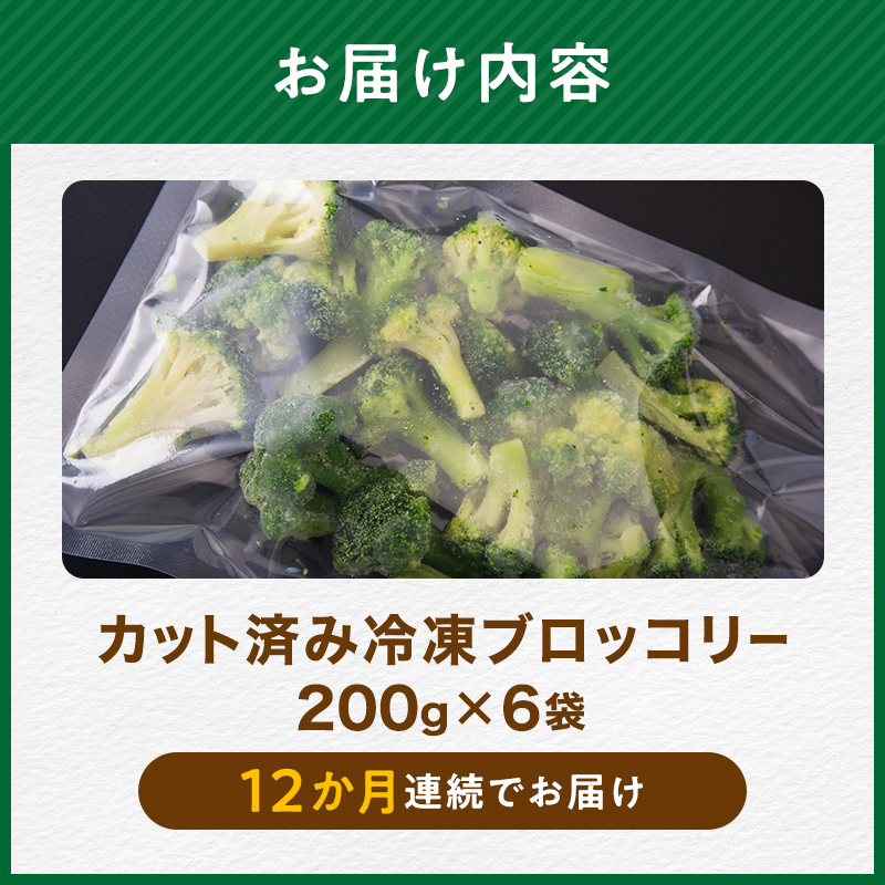【12ヶ月定期便】小分け カット済み ブロッコリー 冷凍 1.2kg×12回 北海道森町産 野菜 おかず お弁当 便利 小分け カット済み ブロッコリー 冷凍 mr1-1007