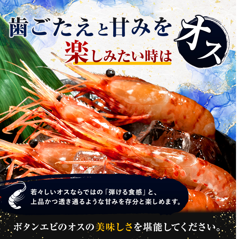 【新物】冷凍ボタンエビ（オス）1kg（500g×2） ＜海鮮問屋　株式会社　瑞宝＞ えび エビ 海老 ぼたんえび ぼたん海老 ボタン海老 ボタンエビ ぼたんエビ 牡丹海老 北海道 森町 ふるさと納税 北海道 mr1-1407