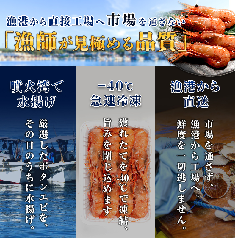 【新物】冷凍ボタンエビ（オス）1kg（500g×2） ＜海鮮問屋　株式会社　瑞宝＞ えび エビ 海老 ぼたんえび ぼたん海老 ボタン海老 ボタンエビ ぼたんエビ 牡丹海老 北海道 森町 ふるさと納税 北海道 mr1-1407